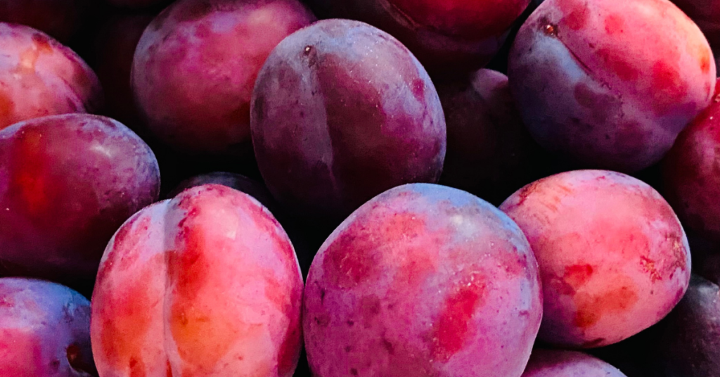 Plums 1024X536 at Essington Farm