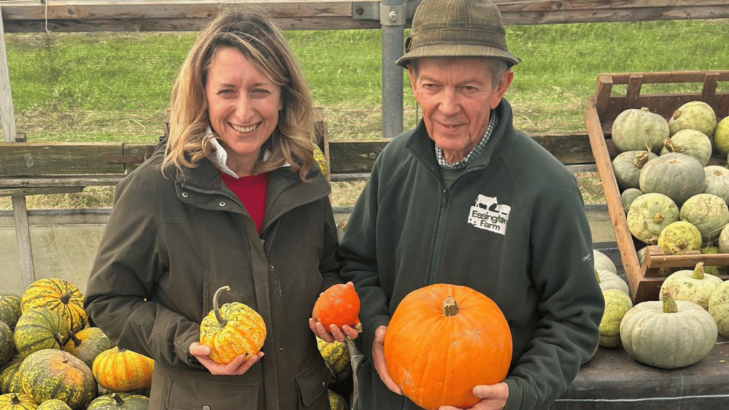 Pumpkins 1024X576 at Essington Farm